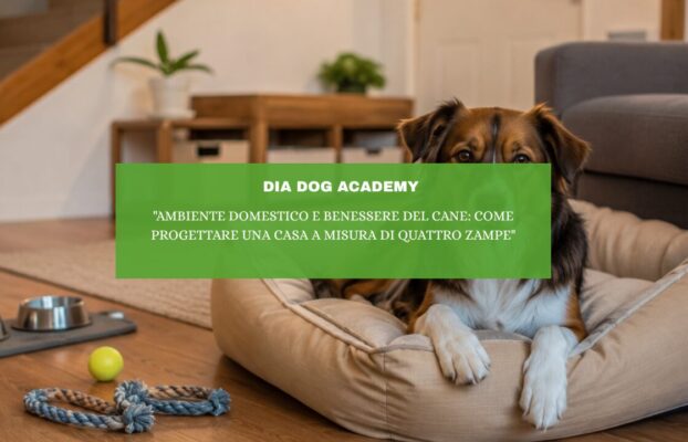 “Ambiente domestico e benessere del cane: come progettare una casa a misura di quattro zampe”
