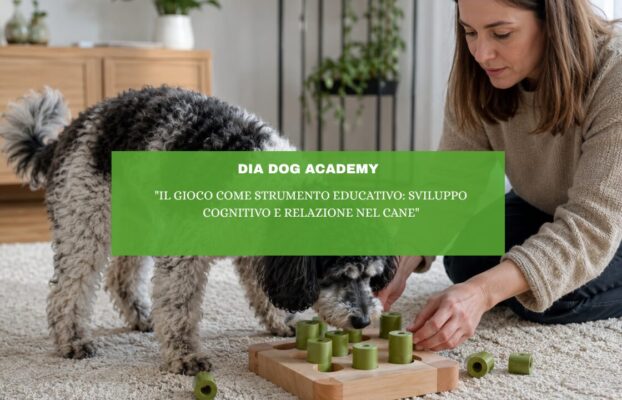 “Il gioco come strumento educativo: sviluppo cognitivo e relazione nel cane”