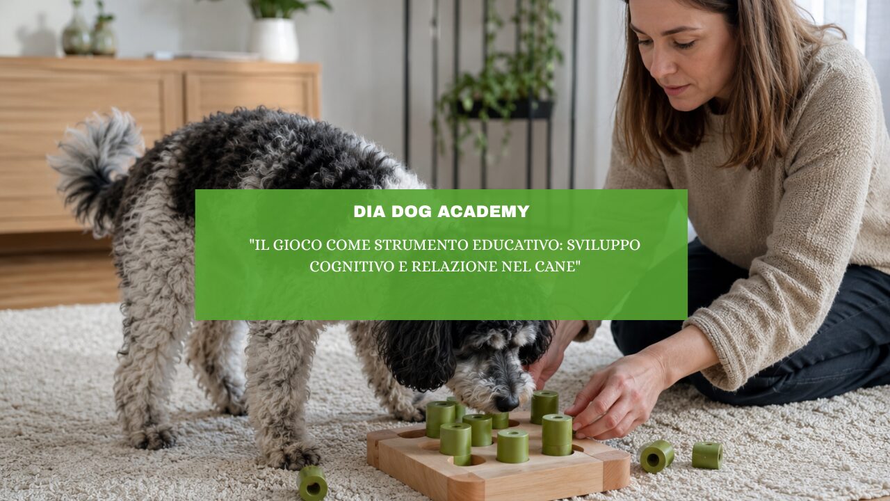“Il gioco come strumento educativo: sviluppo cognitivo e relazione nel cane”